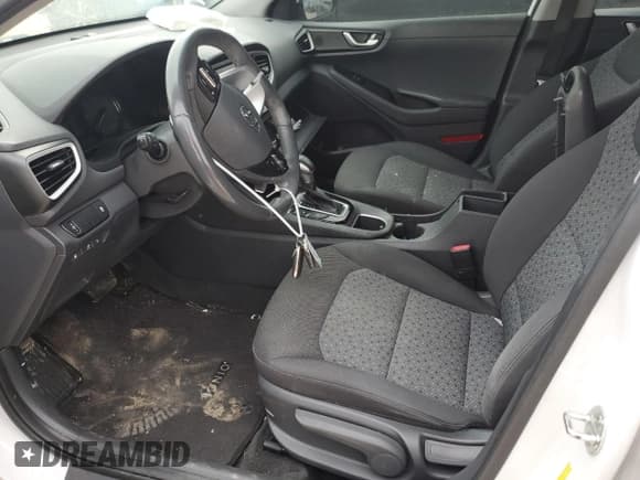 ✅ 2019 Hyundai Ioniq • VIN: KMHC65LD4KU184129 • Lot: 82891024. Wystawiony na Copart z przebiegiem Nie podano. Bezpłatny archiwum sprzedaży aukcyjnych z USA i szczegółowy raport historii pojazdu na DreamBid. Zdjęcie 7.