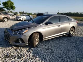 ✅ 2019 Hyundai Sonata SEL • VIN: 5NPE34AF5KH773169 • Лот: 54525413. Опубликован ранее на Copart с пробегом Не указан. Бесплатный доступ к архиву аукционных продаж из США и подробный отчёт об истории автомобиля на DreamBid. Изображение 1.