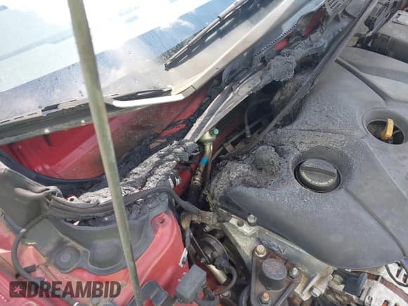 ✅ 2015 Hyundai Elantra Limited • VIN: KMHDH4AE3FU325623 • Lot: 42261993. Listed on IAAI with Not provided. Free auction sales archive from the USA and detailed vehicle history report at DreamBid. Image 6.