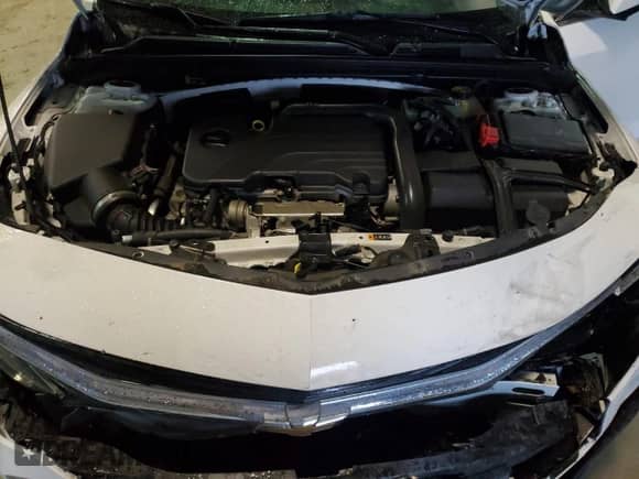 ✅ 2022 Chevrolet Malibu LT • VIN: 1G1ZD5ST7NF174046 • Лот: 58324335. Опубликован ранее на Copart с пробегом 62 553 миль. Бесплатный доступ к архиву аукционных продаж из США и подробный отчёт об истории автомобиля на DreamBid. Изображение 11.