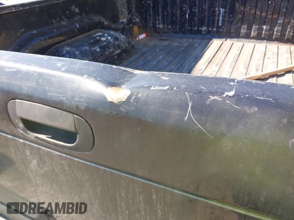 ✅ 1999 Dodge 1500 • VIN: 1B7HC13Y7XJ603503 • Lot: 43635588. Listed on IAAI with 274,736 mi. Free auction sales archive from the USA and detailed vehicle history report at DreamBid. Image 6.