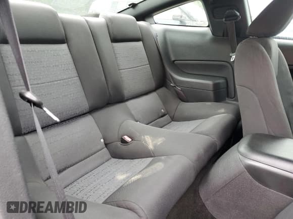 ✅ 2005 Ford Mustang Deluxe • VIN: 1ZVFT80N455162085 • Lot: 53783965. Listed on Copart with 134,371 mi. Free auction sales archive from the USA and detailed vehicle history report at DreamBid. Image 10.