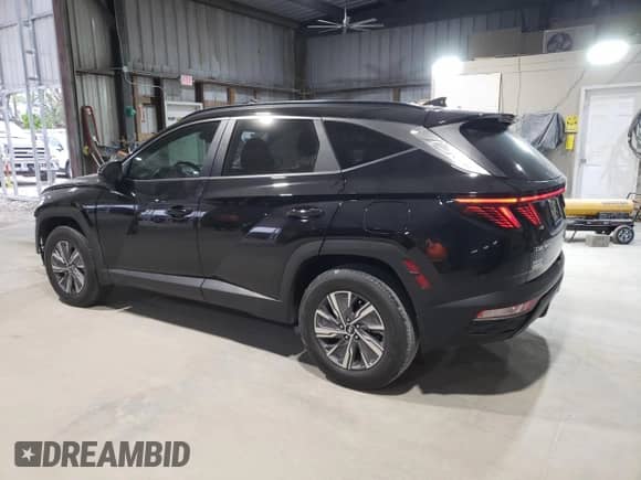 2023 Hyundai Tucson Blue z VIN KM8JBCA11PU096839, wystawiony jako Copart lot #52384595 z przebiegiem 32 983 mil mil oraz Szkoda całkowita • Salvage title. Historia ofert i sprzedaży dostępna na DreamBid. Obrazek 2.