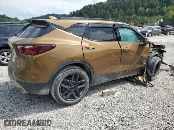 2019 Chevrolet Blazer with VIN 3GNKBHRSXKS699789, listed as a Copart auction lot 64011754 with 56,669 mi miles and Salvage title. Bid and sale history available at DreamBid. Image 3.