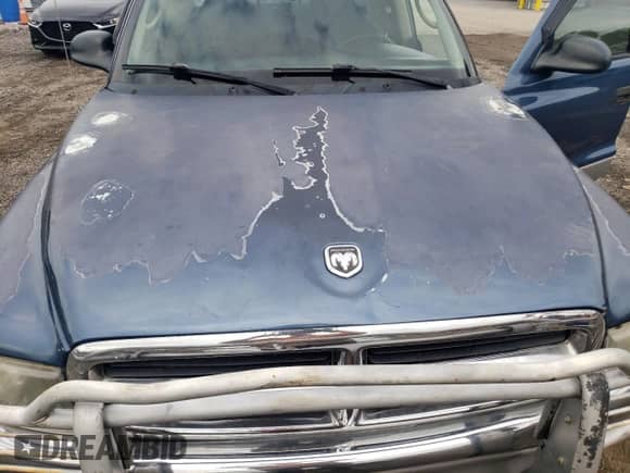 2003 Dodge Dakota SLT с VIN 1D7HL48X93S367092, выставлен на аукционе Copart как лот 71961274 с пробегом 160 709 миль миль и Списание • Salvage title. История ставок и продаж доступна на DreamBid. Изображение 11.