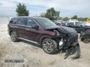 ✅ 2023 Hyundai Palisade SEL • VIN: KM8R4DGE7PU544725 • Lot: 80368265. Listed on Copart with 36,360 mi. Free auction sales archive from the USA and detailed vehicle history report at DreamBid. Image 4.