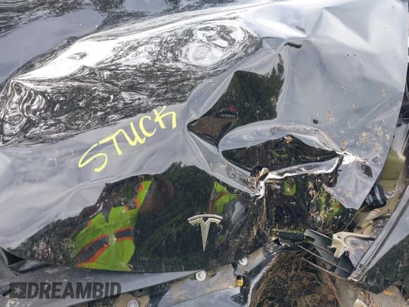 ✅ 2024 Tesla Model 3 • VIN: 5YJ3E1EA3RF746589 • Lot: 43211864. Wystawiony na IAAI z przebiegiem 11 116 mil. Bezpłatny archiwum sprzedaży aukcyjnych z USA i szczegółowy raport historii pojazdu na DreamBid. Zdjęcie 10.