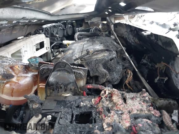 ✅ 2020 Ram ProMaster City Cargo Tradesman • VIN: ZFBHRFAB2L6P35918 • Лот: 42805522. Опубликован ранее на IAAI с пробегом Не указан. Бесплатный доступ к архиву аукционных продаж из США и подробный отчёт об истории автомобиля на DreamBid. Изображение 10.