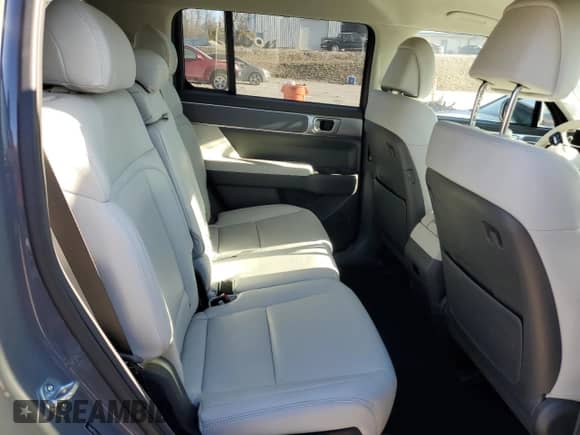 2024 Hyundai Santa Fe SE с VIN 5NMP1DGL3RH009601, выставлен на аукционе Copart как лот 46947605 с пробегом 5 425 миль миль и Списание • Salvage title. История ставок и продаж доступна на DreamBid. Изображение 11.