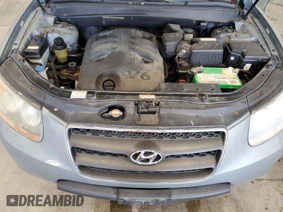✅ 2008 Hyundai Santa Fe SE • VIN: 5NMSH13E78H145353 • Lot: 71173014. Listed on Copart with 192,246 mi. Free auction sales archive from the USA and detailed vehicle history report at DreamBid. Image 12.