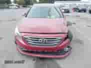 2016 Hyundai Sonata Sport с VIN 5NPE34AF5GH418980, выставлен на аукционе IAAI как лот 43398430 с пробегом 173 726 миль миль и . История ставок и продаж доступна на DreamBid. Изображение 12.