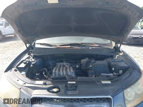 ✅ 2007 Hyundai Santa Fe GLS • VIN: 5NMSG13DX7H055218 • Lot: 43523781. Listed on IAAI with 276,204 mi. Free auction sales archive from the USA and detailed vehicle history report at DreamBid. Image 10.