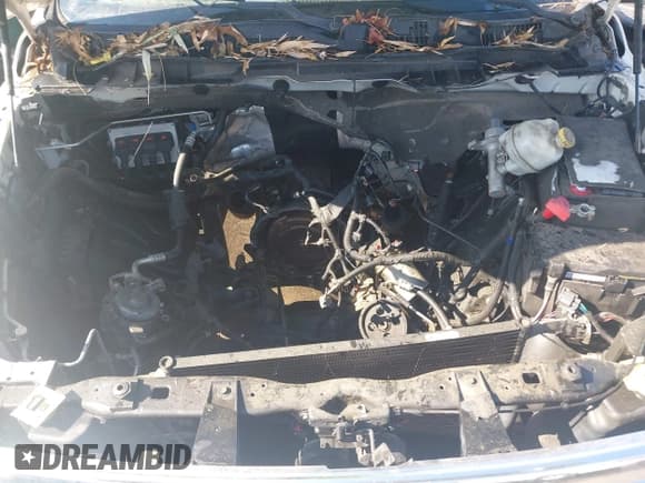 ✅ 2009 Dodge 1500 TRX • VIN: 1D3HV18P59S804637 • Lot: 42632692. Listed on IAAI with Not provided. Free auction sales archive from the USA and detailed vehicle history report at DreamBid. Image 10.