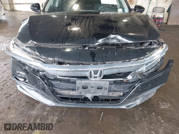 ✅ 2018 Honda Accord LX • VIN: 1HGCV1F10JA263381 • Лот: 42477778. Опубликован ранее на IAAI с пробегом 1 575 миль. Бесплатный доступ к архиву аукционных продаж из США и подробный отчёт об истории автомобиля на DreamBid. Изображение 6.