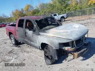 2009 Dodge Dakota SXT with VIN 1D7HE38K59S719263, listed as a IAAI auction lot 40661314 with Not provided miles and . Bid and sale history available at DreamBid. Image 1.