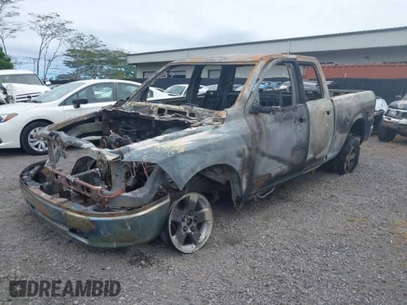 ✅ 2010 Dodge 1500 SLT • VIN: 1D7RV1GP8AS187016 • Lot: 43173638. Listed on IAAI with Not provided. Free auction sales archive from the USA and detailed vehicle history report at DreamBid. Image 2.