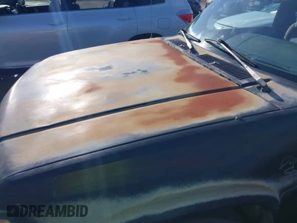 1992 Dodge Dakota z VIN 1B7FL23X8NS688637, wystawiony jako IAAI lot #41929204 z przebiegiem 125 967 mil mil oraz . Historia ofert i sprzedaży dostępna na DreamBid. Obrazek 6.