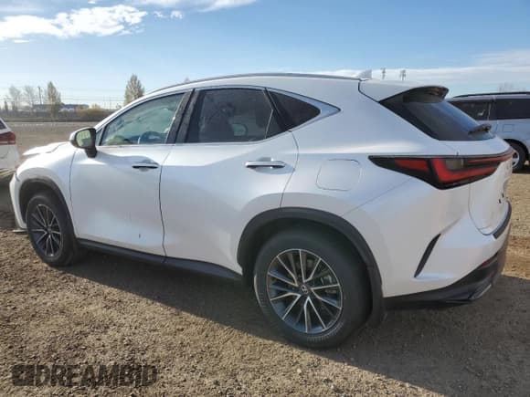 ✅ 2025 Lexus NX 350h Premium • VIN: 2T2GKCEZ2SC048475 • Lot: 85391355. Listed on Copart with 7,600 mi. Free auction sales archive from the USA and detailed vehicle history report at DreamBid. Image 2.