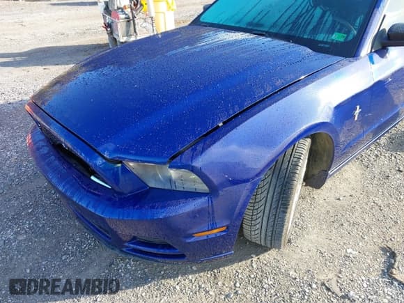 ✅ 2013 Ford Mustang V6 • VIN: 1ZVBP8AMXD5250677 • Lot: 43347063. Wystawiony na IAAI z przebiegiem 173 207 mil. Bezpłatny archiwum sprzedaży aukcyjnych z USA i szczegółowy raport historii pojazdu na DreamBid. Zdjęcie 17.