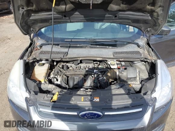 ✅ 2016 Ford Escape SE • VIN: 1FMCU0G7XGUB53522 • Lot: 43552575. Listed on IAAI with 161,814 mi. Free auction sales archive from the USA and detailed vehicle history report at DreamBid. Image 10.