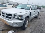 ✅ 2010 Dodge Dakota Bighorn/Lonestar • VIN: 1D7CW3GK4AS140049 • Lot: 42231805. Wystawiony na IAAI z przebiegiem 149 489 mil. Bezpłatny archiwum sprzedaży aukcyjnych z USA i szczegółowy raport historii pojazdu na DreamBid. Zdjęcie 21.