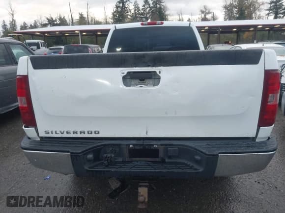 ✅ 2009 Chevrolet Silverado 1500 Work Truck • VIN: 1GCEC14X39Z223667 • Lot: 43647205. Listed on IAAI with 204,585 mi. Free auction sales archive from the USA and detailed vehicle history report at DreamBid. Image 6.