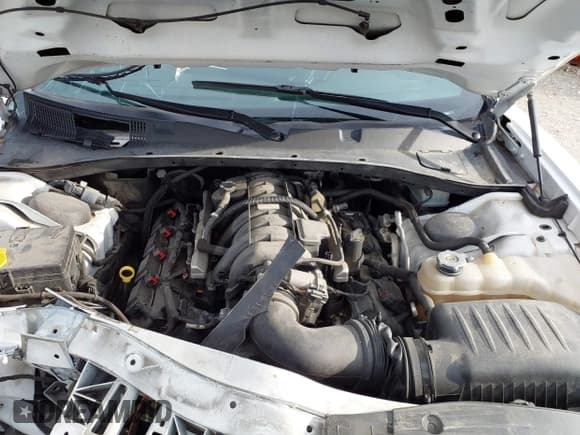 ✅ 2019 Dodge Charger Police • VIN: 2C3CDXAT2KH514146 • Lot: 41431813. Wystawiony na IAAI z przebiegiem 111 411 mil. Bezpłatny archiwum sprzedaży aukcyjnych z USA i szczegółowy raport historii pojazdu na DreamBid. Zdjęcie 10.