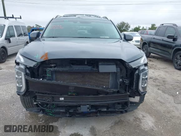 ✅ 2020 Hyundai Palisade SEL • VIN: KM8R24HE2LU134364 • Лот: 41411656. Опубликован ранее на IAAI с пробегом 63 566 миль. Бесплатный доступ к архиву аукционных продаж из США и подробный отчёт об истории автомобиля на DreamBid. Изображение 13.