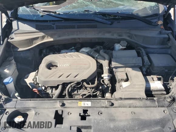 ✅ 2018 Hyundai Santa Fe 2.0T • VIN: 5XYZU4LA4JG529079 • Лот: 81975085. Опубликован ранее на Copart с пробегом 164 631 миль. Бесплатный доступ к архиву аукционных продаж из США и подробный отчёт об истории автомобиля на DreamBid. Изображение 11.