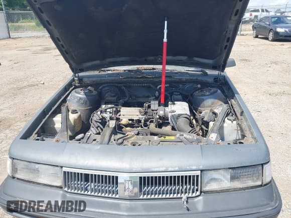 ✅ 1989 Oldsmobile Cutlass Ciera • VIN: 2G3AJ51NXK2439345 • Lot: 42128301. Wystawiony na IAAI z przebiegiem 241 434 mil. Bezpłatny archiwum sprzedaży aukcyjnych z USA i szczegółowy raport historii pojazdu na DreamBid. Zdjęcie 10.