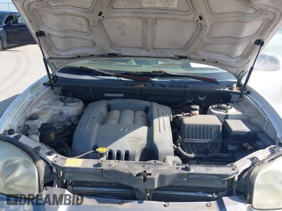 ✅ 2004 Hyundai Santa Fe GLS • VIN: KM8SC13D64U837768 • Lot: 43769846. Listed on IAAI with 147,075 mi. Free auction sales archive from the USA and detailed vehicle history report at DreamBid. Image 10.