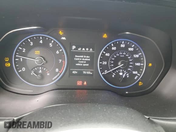 2020 Hyundai Palisade SE with VIN KM8R1DHEXLU063840, listed as a Copart auction lot 46081833 with 75,103 mi miles and . Bid and sale history available at DreamBid. Image 9.