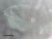 ✅ 2019 Jeep Cherokee Limited • VIN: 1C4PJMDX3KD239189 • Lot: 84880235. Wystawiony na Copart z przebiegiem Nie podano. Bezpłatny archiwum sprzedaży aukcyjnych z USA i szczegółowy raport historii pojazdu na DreamBid. Zdjęcie 10.