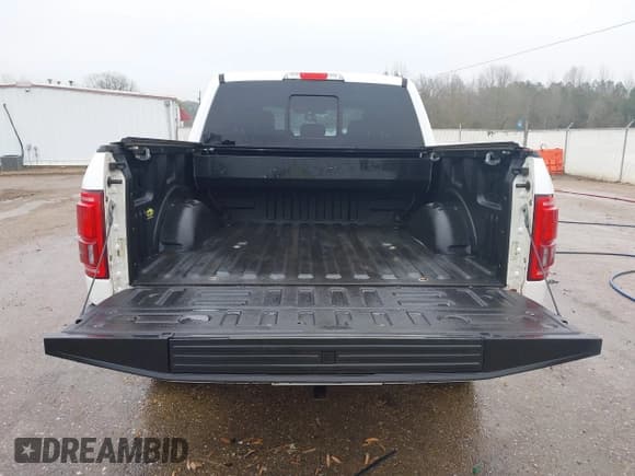 ✅ 2015 Ford F-150 XLT • VIN: 1FTEW1EF2FFA37483 • Lot: 41489382. Listed on IAAI with 117,277 mi. Free auction sales archive from the USA and detailed vehicle history report at DreamBid. Image 16.