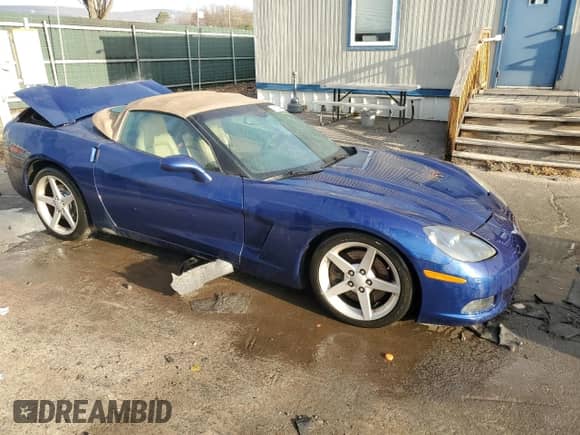 2005 Chevrolet Corvette with VIN 1G1YY34U755127843, listed as a Copart auction lot 81129044 with 59,009 mi miles and Salvage title. Bid and sale history available at DreamBid. Image 4.