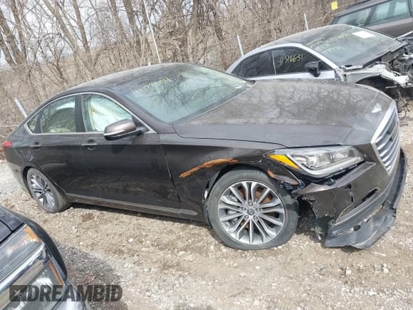 ✅ 2016 Hyundai Genesis 3.8L • VIN: KMHGN4JE9GU110867 • Lot: 41729504. Wystawiony na IAAI z przebiegiem 126 247 mil. Bezpłatny archiwum sprzedaży aukcyjnych z USA i szczegółowy raport historii pojazdu na DreamBid. Zdjęcie 17.