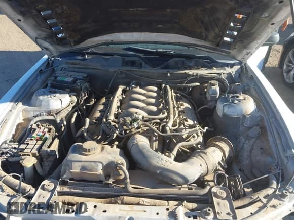 ✅ 2012 Ford Mustang GT Premium • VIN: 1ZVBP8CF2C5266188 • Lot: 43633639. Listed on IAAI with 137,769 mi. Free auction sales archive from the USA and detailed vehicle history report at DreamBid. Image 10.