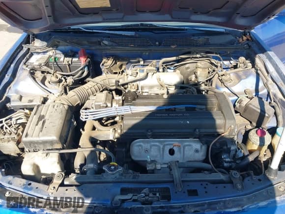 ✅ 2001 Acura Integra LS • VIN: JH4DB76501S001371 • Lot: 43502726. Listed on IAAI with 209,212 mi. Free auction sales archive from the USA and detailed vehicle history report at DreamBid. Image 10.