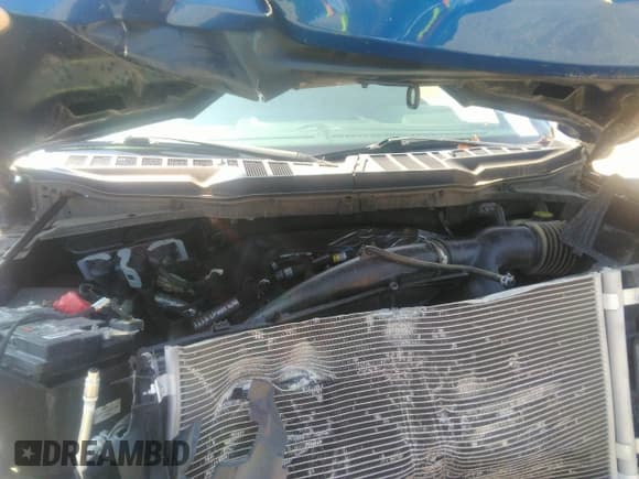 ✅ 2022 Ford F-150 XL • VIN: 1FTEW1EP3NKD77904 • Лот: 42606099. Опубликован ранее на IAAI с пробегом 88 961 миль. Бесплатный доступ к архиву аукционных продаж из США и подробный отчёт об истории автомобиля на DreamBid. Изображение 10.