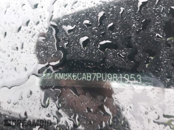 ✅ 2023 Hyundai Kona SEL • VIN: KM8K6CAB7PU981953 • Lot: 43380096. Listed on IAAI with 17,089 mi. Free auction sales archive from the USA and detailed vehicle history report at DreamBid. Image 17.