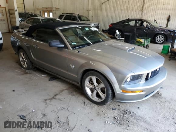 ✅ 2009 Ford Mustang GT • VIN: 1ZVHT85H095126959 • Lot: 63859165. Wystawiony na Copart z przebiegiem 80 520 mil. Bezpłatny archiwum sprzedaży aukcyjnych z USA i szczegółowy raport historii pojazdu na DreamBid. Zdjęcie 4.