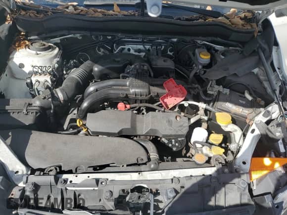 2014 Subaru Forester 2.5i с VIN JF2SJAAC1EH459911, выставлен на аукционе Copart как лот 89483595 с пробегом 95 893 миль миль и Чистый • Clean title. История ставок и продаж доступна на DreamBid. Изображение 12.