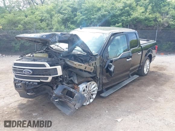 ✅ 2019 Ford F-150 Limited • VIN: 1FTEW1EG6KFC94908 • Lot: 42169889. Listed on IAAI with 55,009 mi. Free auction sales archive from the USA and detailed vehicle history report at DreamBid. Image 20.