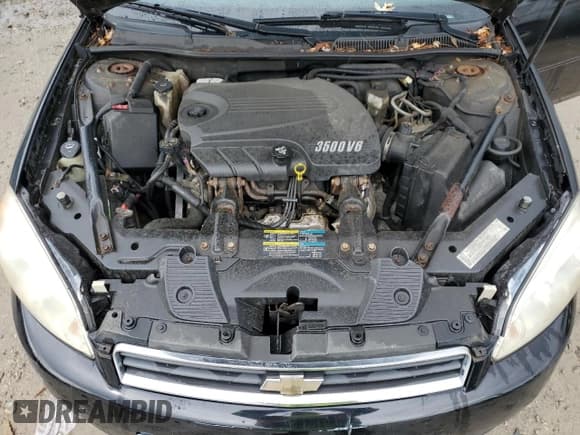 ✅ 2006 Chevrolet Impala LS • VIN: 2G1WB58K069269162 • Lot: 87379415. Listed on Copart with 175,463 mi. Free auction sales archive from the USA and detailed vehicle history report at DreamBid. Image 11.