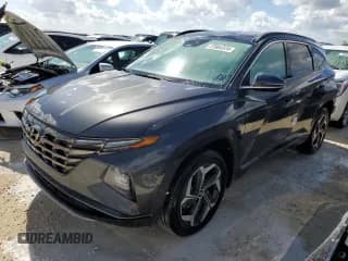 ✅ 2023 Hyundai Tucson Limited • VIN: 5NMJECAE9PH270128 • Lot: 73966574. Wystawiony na Copart z przebiegiem 17 811 mil. Bezpłatny archiwum sprzedaży aukcyjnych z USA i szczegółowy raport historii pojazdu na DreamBid. Zdjęcie 1.