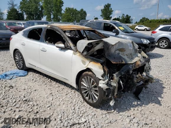 ✅ 2017 Kia Cadenza Premium • VIN: KNALB4J1XH5073054 • Lot: 64685674. Wystawiony na Copart z przebiegiem Nie podano. Bezpłatny archiwum sprzedaży aukcyjnych z USA i szczegółowy raport historii pojazdu na DreamBid. Zdjęcie 4.