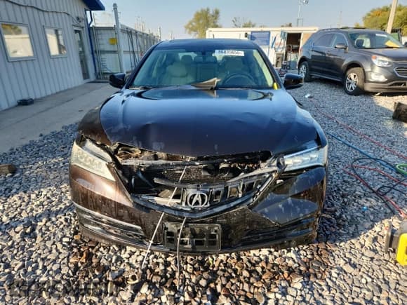 ✅ 2015 Acura TLX • VIN: 19UUB1F38FA026238 • Lot: 86835655. Listed on Copart with 148,953 mi. Free auction sales archive from the USA and detailed vehicle history report at DreamBid. Image 5.