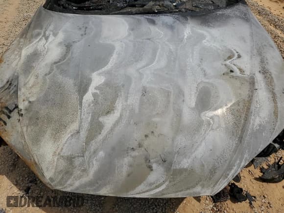 ✅ 2024 Audi A5 Sportback S line Premium • VIN: WAUDACF51RA032172 • Лот: 52730095. Опубликован ранее на Copart с пробегом Не указан. Бесплатный доступ к архиву аукционных продаж из США и подробный отчёт об истории автомобиля на DreamBid. Изображение 11.