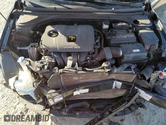 ✅ 2018 Hyundai Elantra SEL • VIN: 5NPD84LF4JH375623 • Lot: 89582225. Wystawiony na Copart z przebiegiem 101 981 mil. Bezpłatny archiwum sprzedaży aukcyjnych z USA i szczegółowy raport historii pojazdu na DreamBid. Zdjęcie 11.