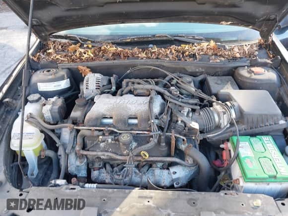 ✅ 2001 Chevrolet Malibu LS • VIN: 1G1NE52J916230914 • Lot: 43600812. Listed on IAAI with 117,653 mi. Free auction sales archive from the USA and detailed vehicle history report at DreamBid. Image 10.
